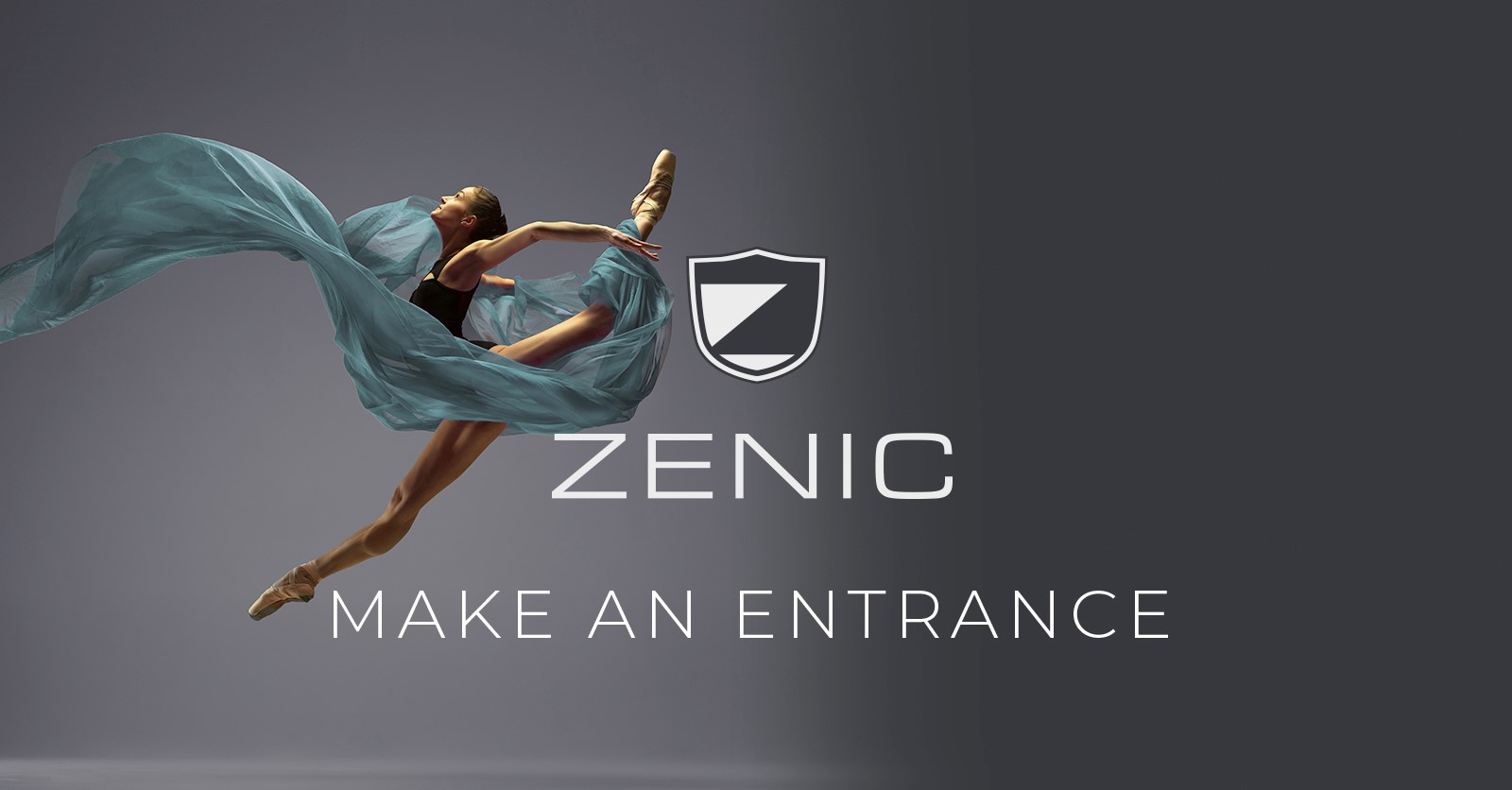 zenic doors